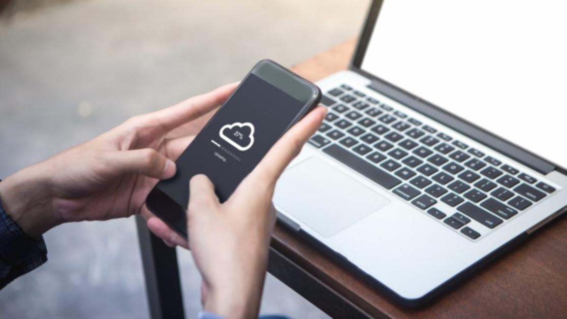 Sesión educativa en vivo con instructor y estudiantes